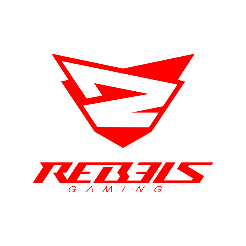 PS5 | PC】Rebels Gaming x Void Gaming コラボコントローラー Rebels